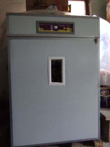 İnkubatorlar: 1000 yumurtalıq inqubator Generator və yem üyüdən ilə birlikdə -da lalafo.az — 9 İnkubatorlar: 1000 yumurtalıq inqubator Generator və yem üyüdən ilə birlikdə — 9