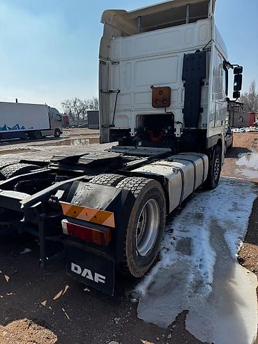 Тягачи: Тягач, DAF, 2005 г., Без прицепа — 4