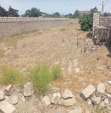 6 sot, Tikinti, Makler, Kupça (Çıxarış)