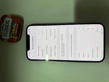 iphone 18 pro бишкек: IPhone 12 Pro max, цвет Gold (золотой) - Экран Super Retina XDR — 6