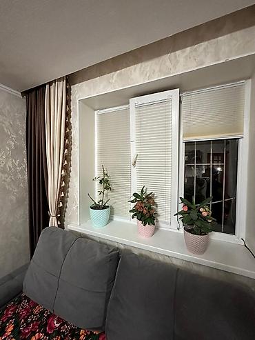 Жалюзи и рольшторы: Рулонные шторы «День-Ночь» (зебра) - Полотно: чередование прозрачных — 11