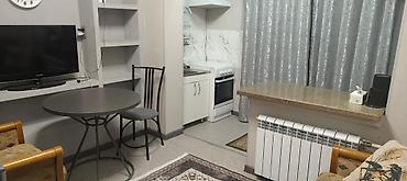 сдам 1 комнатную квартиру в аламедин 1: Сдается 1 кв с ремонтом и мебелью для 1-2 х человек (без животных) — 4
