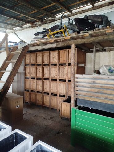 Bitkilər üçün dibçəklər: Dibçək güldanlar. Dipçəklər bir başa sexdən.Sex qiymətinə. ♦️Endrim — 2