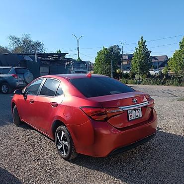 тойота камри sv40: Toyota Levin: 2018 г., 1.8 л, Вариатор, Гибрид, Седан — 4