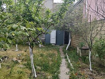 neftçala ev: Sumqayıt, 5000 kv. m, 8 otaq, Hovuzsuz, İnternet, Telefon, Qaz — 7