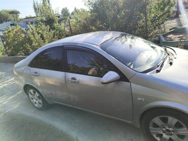 ниссан альмера тино дизель: Nissan Primera: 2004 г., 2 л, Автомат, Бензин, Седан
