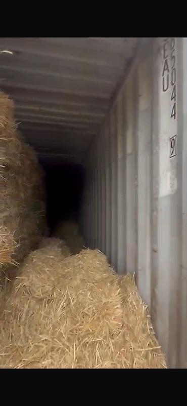 листы контейнера: ПРОДАЮ 40 ТОННЫЕ КОНТЕЙНЕРА В ОТЛИЧНОМ СОСТОЯНИИ!!! ЕСТЬ МОРСКИЕ И — 7