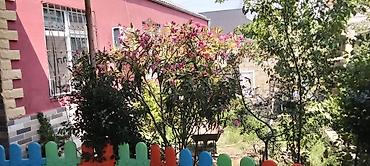 Həyət evləri və villaların satışı: Həyətyanı fərdi ev - Həyətyanı sahəsi: yaşıllıqla əhatəli, dekorativ — 6