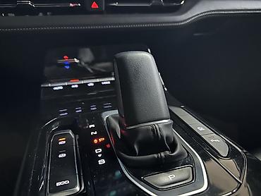 Great Wall: Great Wall : 2023 г., 2 л, Вариатор, Гибрид, Минивэн — 12