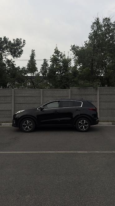 sprinter rex: Kia Sportage: 2019 г., 2 л, Автомат, Дизель, Кроссовер — 2