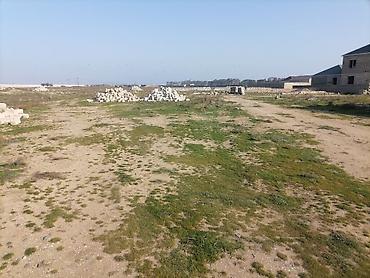 kend ehmedli: Tikinti, Mülkiyyətçi, Kupça (Çıxarış) — 3