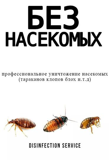 160: Дезинфекция, дезинсекция, | Тараканы, | Дома, Кафе, магазины, Квартиры — 5