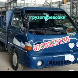 грызуны домашние: ВывоВывоз Мусора Вывоз Мусора Вывоз з Мусора Вывоз Мусора Вывоз at lalafo.kg грызуны домашние: ВывоВывоз Мусора Вывоз Мусора Вывоз з Мусора Вывоз Мусора Вывоз