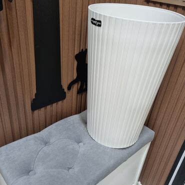 Фикусы: РАСПРОДАЖА ДОМАШНИХ ЦВЕТОВ, СРОЧНО НЕДОРОГО ЦВЕТЫ КОМНАТНЫЕ Продаю — 11