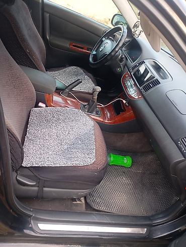 audi a6 2 6: Toyota Camry: 2004 г., Механика, Газ, Седан — 8
