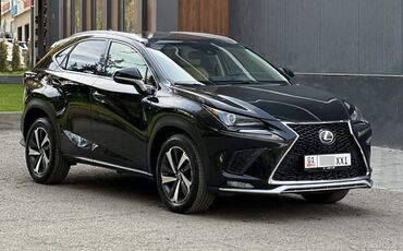 мото цепь: Lexus NX: 2019 г., 2 л, Автомат, Бензин, Кроссовер