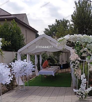 Палатки: Сдаю палатки шатры тент на прокат Шатер палатка палата, юрта — 5