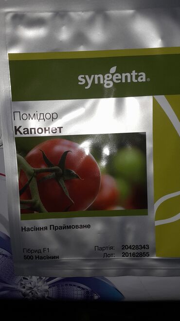 Toxumlar: Məhsul: Toxumlar – Rijk Zwaan və Enza Zaden hibridləri • Rijk Zwaan – — 11