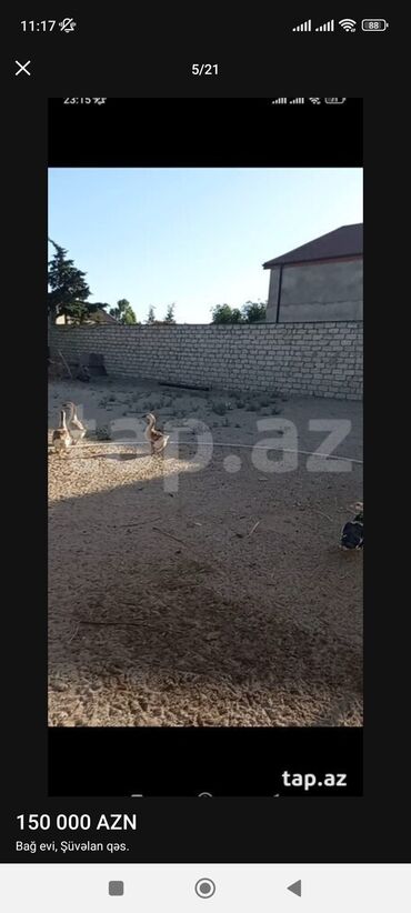 Həyət evləri və villaların satışı: 4 otaqlı, 170 kv. m, Kredit yoxdur, Yeni təmirli -da lalafo.az — 14 Həyət evləri və villaların satışı: 4 otaqlı, 170 kv. m, Kredit yoxdur, Yeni təmirli — 14