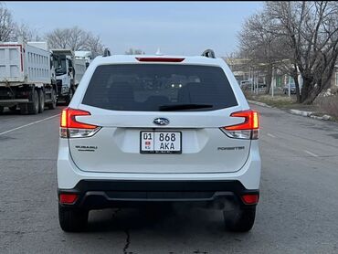 Subaru: Subaru Forester: 2019 г., 2.5 л, Вариатор, Бензин, Универсал — 4