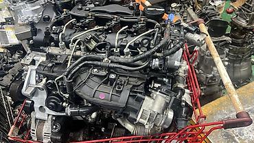 Бампер и комплектующие: Бампер Kia, Оригинал — 77