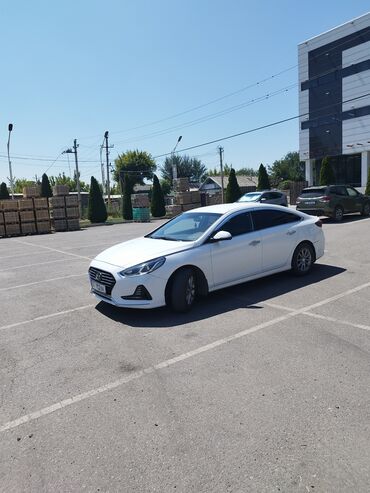 Туристические услуги: Аренда авто прокат. 🚗 Камри 70. 🚗 Камри 50. 🚗 Саната нюрайс. залок — 12