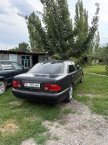 решетк: Mercedes-Benz E-Class: 1995 г., 2.3 л, Механика, Бензин, Седан — 1