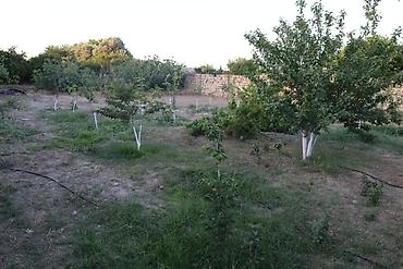 Torpaq sahələrinin satışı: 10 sot, Tikinti, Barter mümkündür, Kupça (Çıxarış) — 4
