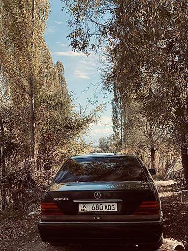 Mercedes-Benz C-Class: 1992 г., 3.2 л, Кол менен иштөөчү, Дизель — 7