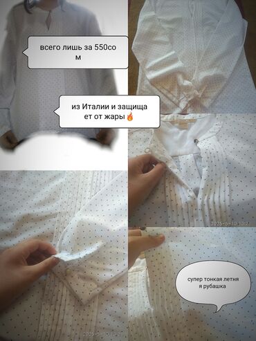 Блузки: Блузка, В горох