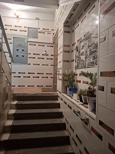 участок квартира: 3 комнаты, 5 м², 2 этаж — 3