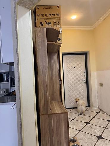 asılqan qarmaq: Dəhliz üçün çoxfunksiyalı giriş dolabı (mətbəx rəngi – qoz/taxta — 6