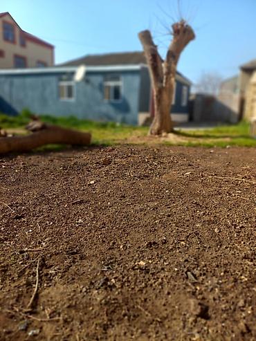 Həyət evləri və villalar: 5 otaqlı, 142 kv. m, Yeni təmirli — 8
