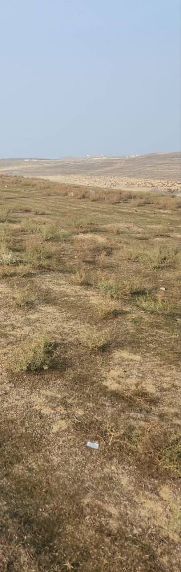 Torpaq sahələrinin satışı: 54 sot, Kənd təsərrüfatı, Maklerlər narahat etməsin, Kupça (Çıxarış) — 10