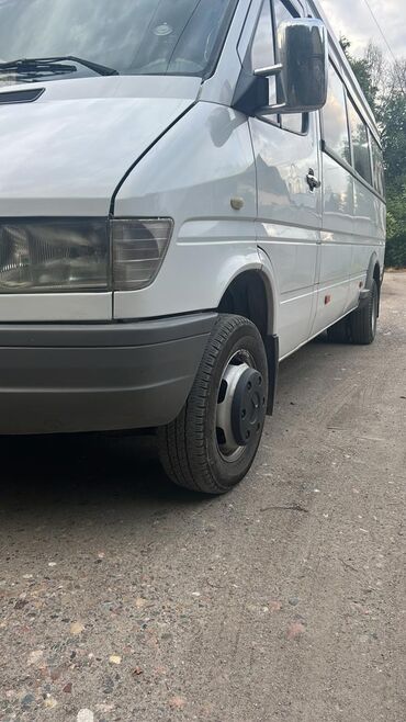 спринтер баткен: Mercedes-Benz Sprinter: 1999 г., 2.9 л, Механика, Дизель, Бус