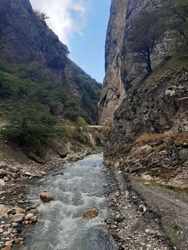 Sərnişin daşımaları: Minivan, Lənkəran, 7 Oturacaq — 7