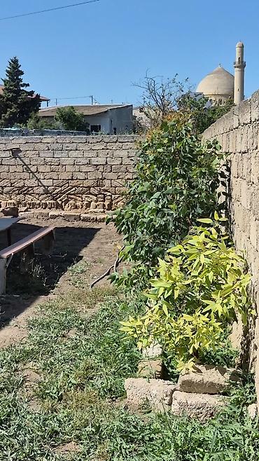 Torpaq sahələrinin satışı: 3 sot, Tikinti, Bələdiyyə — 5