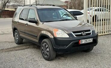 пленка для авто: Honda CR-V: 2004 г., 2.4 л, Автоматические, Бензин, Внедорожник