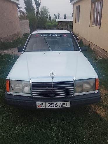 радиятор 124: Mercedes-Benz W124: 1987 г., 2.3 л, Автомат, Бензин, Седан — 1