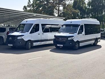 rex sprinter: Пункт назначения: Все направления — 1