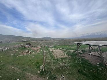 Продажа участков: 80 соток, Для сельского хозяйства — 15