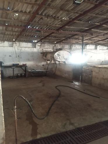 Продажа коттеджей и домов: Продаю два дома на одном участке Рядом с трассой Аэропорта Манас Село — 12