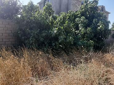 maştaga: 4 sot, Tikinti, Kupça (Çıxarış) — 3
