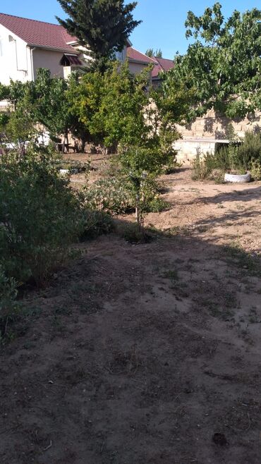 Həyət evləri və villaların satışı: Buzovna vişnovka .Tam dolu satlir eşyalarla birlikde -da lalafo.az — 16 Həyət evləri və villaların satışı: Buzovna vişnovka .Tam dolu satlir eşyalarla birlikde — 16