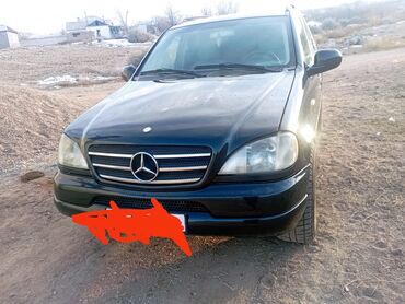 мерседес 210 270: Mercedes-Benz M-Class: 2000 г., 4.3 л, Типтроник, Бензин, Кроссовер