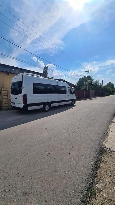 rex sprinter: Пункт назначения: Все направления, Количество мест: 18, Лицензия №: 08В006300 — 1