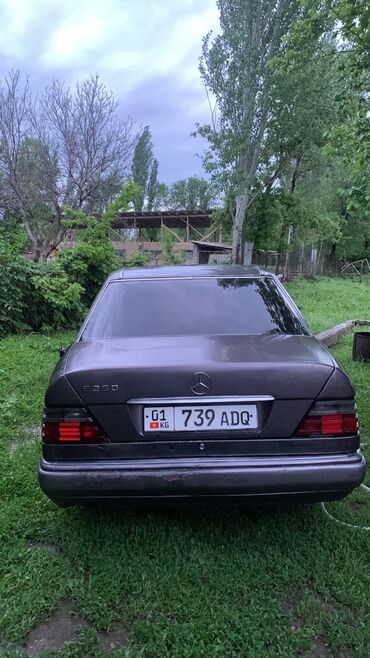 камбайын нива ск 5: Mercedes-Benz W124: 1994 г., 2.5 л, Механика, Дизель