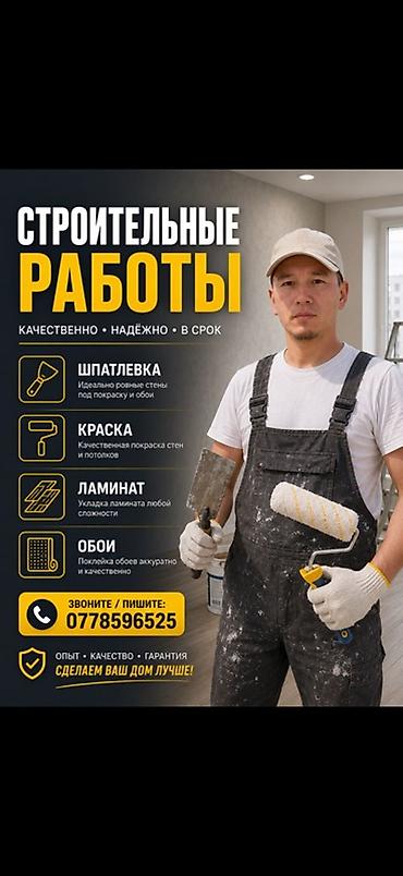Больше 6 лет опыта