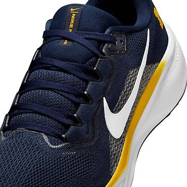 pegas: Мужские кроссовки, 43, 40.5, 42, Nike, Новый, цвет - Синий, Самовывоз, Бесплатная доставка, Платная доставка — 6