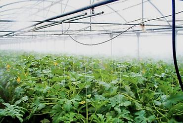 Компрессоры: Туманообразование. Охлаждение и увлажнение воздуха в теплицах, кафе и — 13